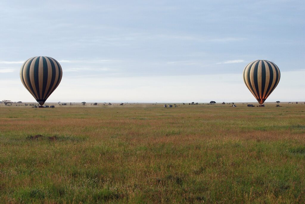 Två randiga luftballonger landar tidigt på morgonen på den gröna slätten, med 4x4-bilarna som följer dem