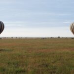 Två randiga luftballonger landar tidigt på morgonen på den gröna slätten, med 4x4-bilarna som följer dem