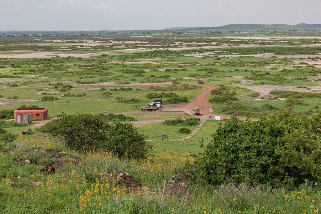 Utsikt från Observation Hill över en grön slätt med saltfläckar, en röd väg, tre 4x4-bilar parkerade vid en liten ockrafärgad byggnad, låga kullar i fjärran