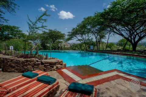 Infinitypoolen på Serengeti Serena Safari Lodge, med rödrandiga solstolar och gröna handdukar, under akaciorna